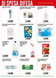 Volantino Gala Supermercati Pagina 21