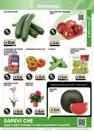 Volantino Gala Supermercati Pagina 7