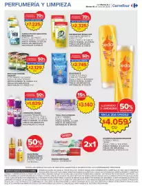 Folleto Carrefour Maxi Página 20