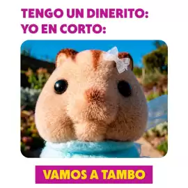 Catálogo Tambo Página 1