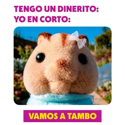 Tambo (válido hasta 1-07)