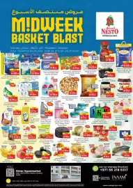 Nesto catalogue Page 1