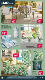 Netto Prospekt woche 26 Seite 18