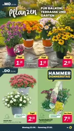 Netto Prospekt woche 26 Seite 21