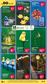 Netto Prospekt woche 26 Seite 24