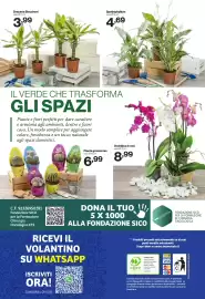 Volantino In'S Mercato Pagina 24