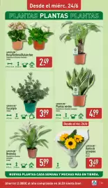 Folleto ALDI semana 26 Página 23