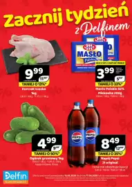 Delfin gazetka Strona 1