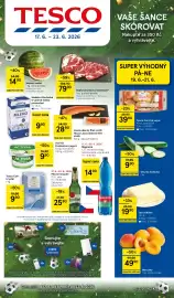 Tesco leták týden 25 Strana 1