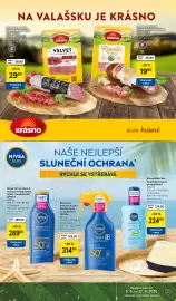 Tesco leták týden 25 Strana 33