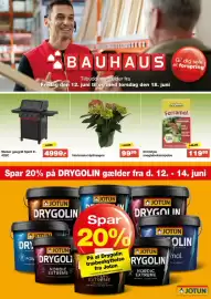 Bauhaus avis uge 24 Side 1