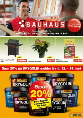 Bauhaus avis (gælder indtil 18-06)