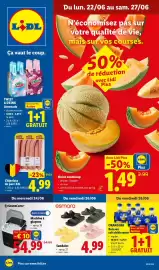Lidl folder week 26 Pagina 1