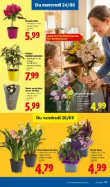 Lidl folder week 26 Pagina 17