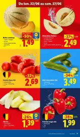 Lidl folder week 26 Pagina 3