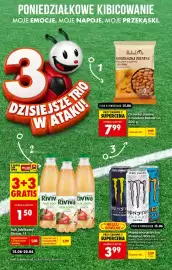 Biedronka gazetka tydzień 25 Strona 2