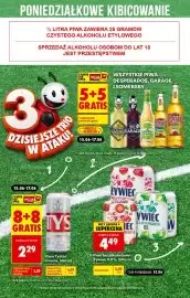 Biedronka gazetka tydzień 25 Strona 3