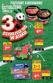 Biedronka gazetka tydzień 25 Strona 5