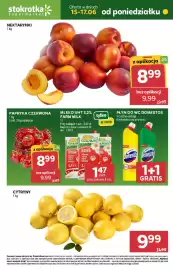 Stokrotka gazetka Strona 1