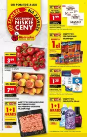 Biedronka gazetka tydzień 25 Strona 1