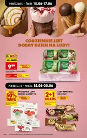 Biedronka gazetka tydzień 25 Strona 20