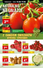 Biedronka gazetka tydzień 25 Strona 22