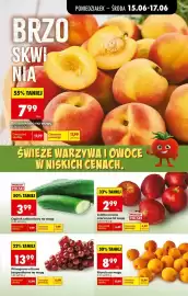 Biedronka gazetka tydzień 25 Strona 23