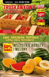 Biedronka gazetka tydzień 25 Strona 24
