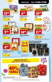 Biedronka gazetka tydzień 25 Strona 45