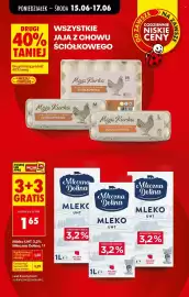 Biedronka gazetka tydzień 25 Strona 5