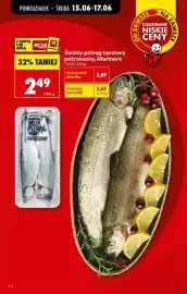 Biedronka gazetka tydzień 25 Strona 6