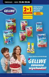 Biedronka gazetka tydzień 25 Strona 68