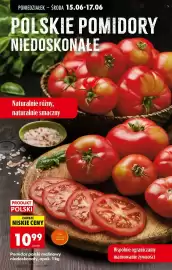 Biedronka gazetka tydzień 25 Strona 76