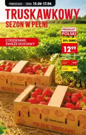 Biedronka gazetka tydzień 25 Strona 81