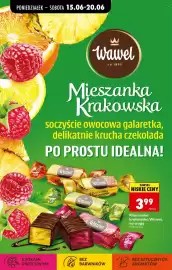 Biedronka gazetka tydzień 25 Strona 82