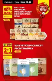 Biedronka gazetka tydzień 25 Strona 9