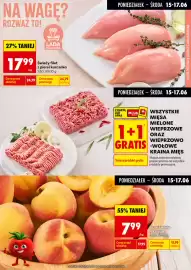 Biedronka gazetka tydzień 25 Strona 3