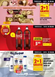 Biedronka gazetka tydzień 25 Strona 5