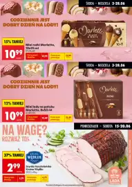 Biedronka gazetka tydzień 25 Strona 9