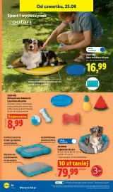 Lidl gazetka tydzień 26 Strona 44