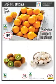 IGA catalogue week 25 Page 4