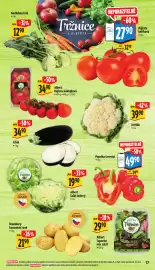 Albert leták | Supermarket Strana 25