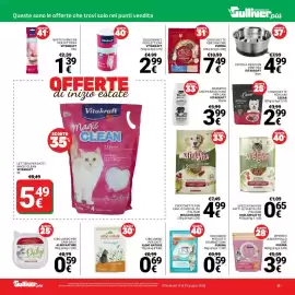 Volantino Supermercati Gulliver Pagina 35