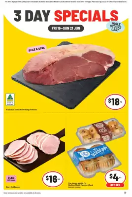 IGA catalogue