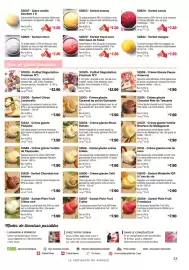 Catalogue Thiriet page 33