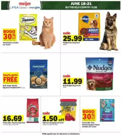 Meijer weekly ad week 25 Page 33