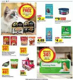 Meijer weekly ad week 25 Page 43