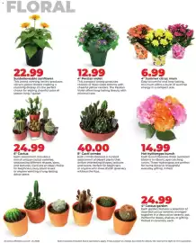 Hy-Vee weekly ad week 25 Page 35