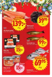 Nya Pulsen reklamblad vecka 25 Sida 7