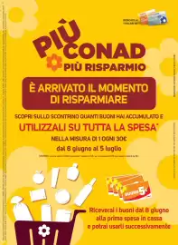 Volantino Conad Margherita Pagina 13